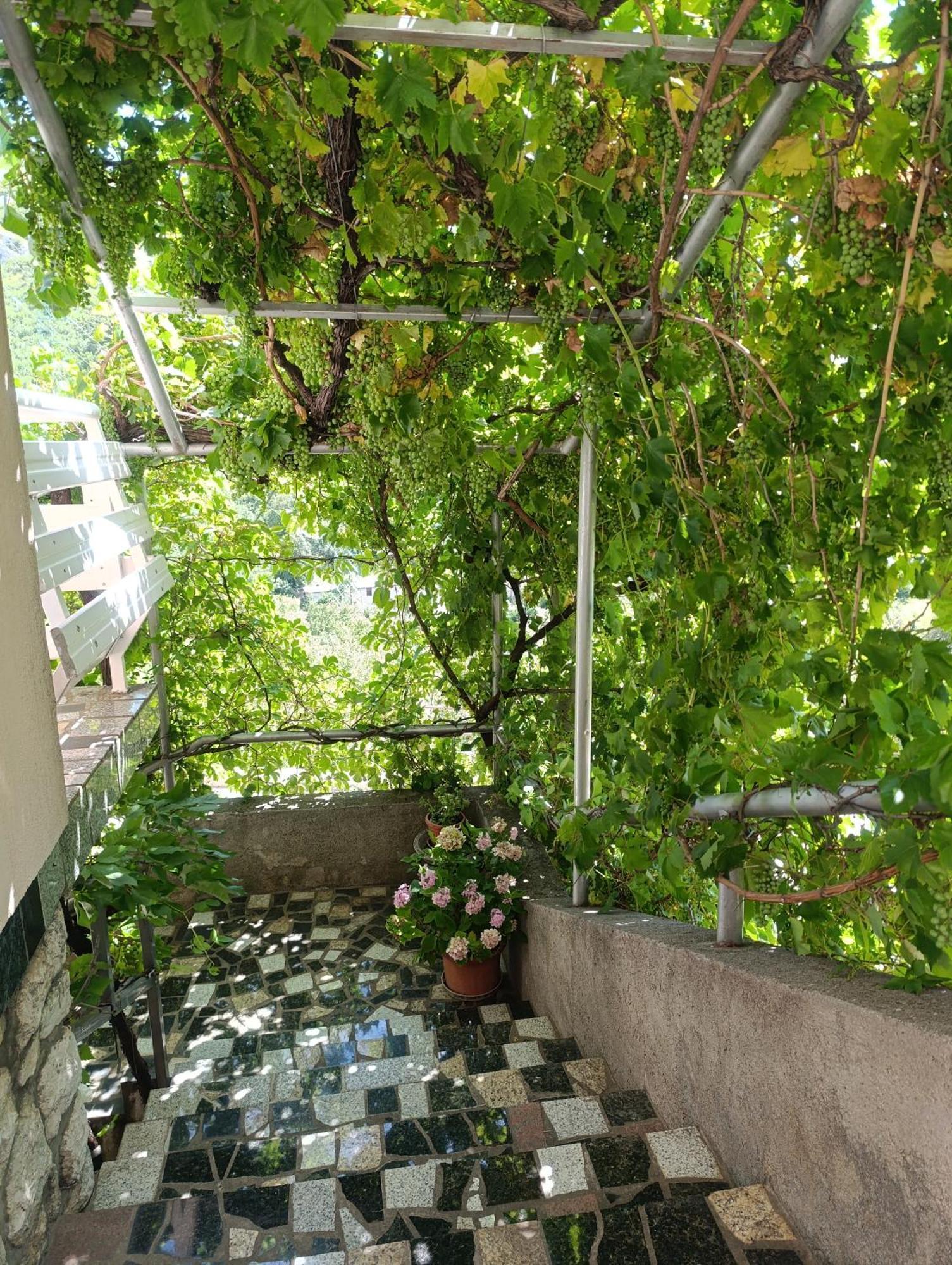 Apartment Rita Senj  Εξωτερικό φωτογραφία